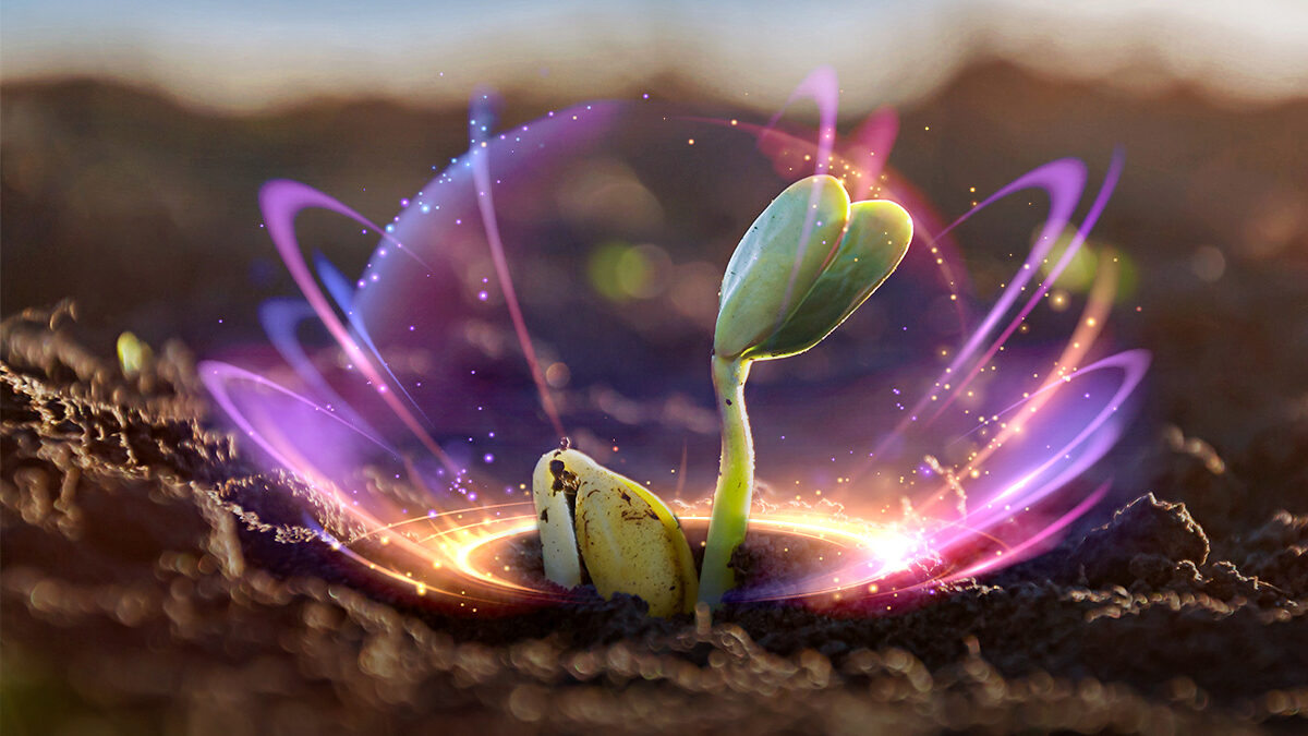 Bioinsumos para sua propriedade