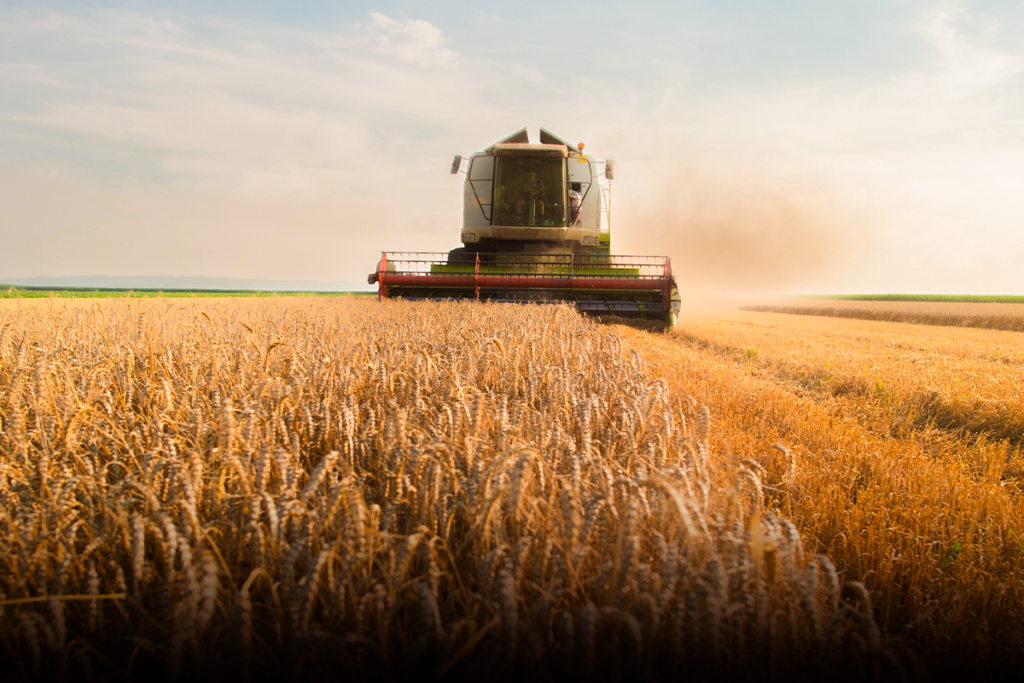 manejo-de-inverno-com-biologicos-agricultura